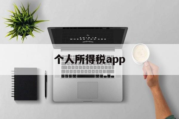 个人所得税app(个人所得税app下载2024)