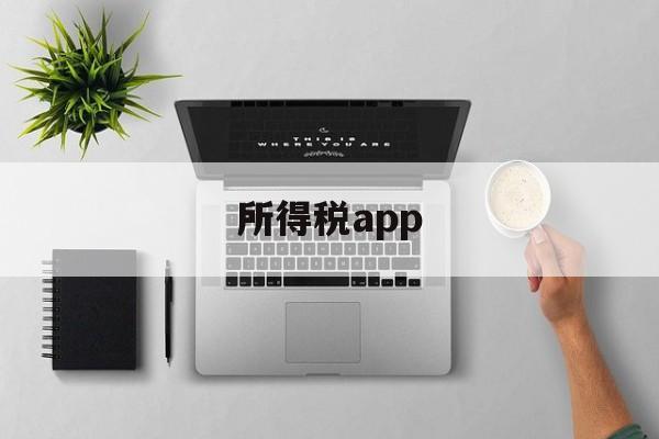 所得税app(所得税app下载)